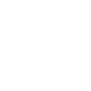 Amusnet logo.