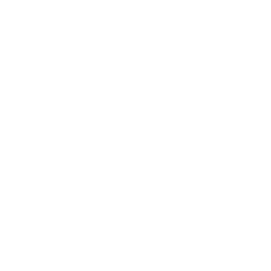 Stormcraft logo.